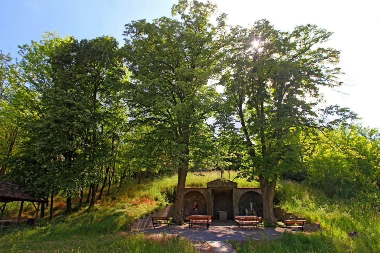 Villa Mons Aureus Popovac المظهر الخارجي الصورة
